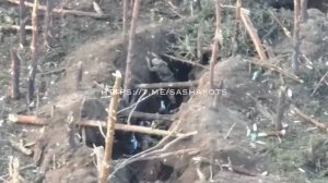 Невероятный подвиг Александра Мальцева, который в одиночку захватил опорник врага и взял пленных