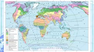 География 7 кл Кopинская §11 Природная зональность