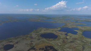 Болото, Ямал..mp4