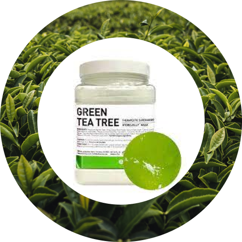 GREEN TEA TREE HYDROJELLY ESTHEMAX .mp4