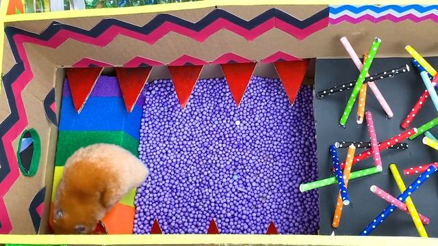 All New Maze Challenges: Hamster Escape From the Prison Run Maze смотреть онлайн