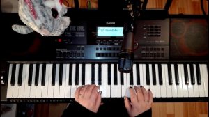 Видеоурок "Как сыграть на синтезаторе песню Scorpions Still Loving You"