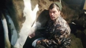 Корова по Соц контракту .