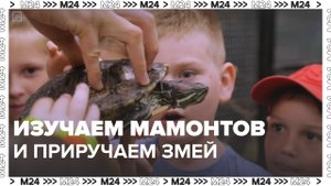 Где провести каникулы в Москве — Москва24|Контент