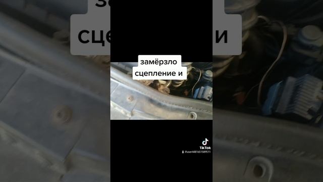 Карточка видео