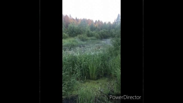 ?#Forever#Cherepovets#любимый#город#навсегда#река#Суда#С ЛЮБОВЬЮ#Алена#Nails#Ювелир# смотреть онлайн