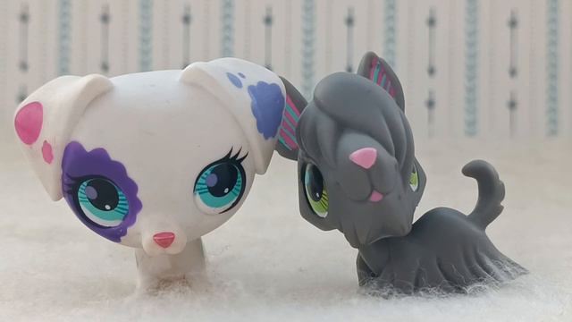 LPS: Моя коллекция собак 🐶 My LPS collection