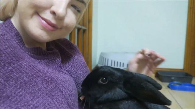 JO MALONE DINNER, MY BIRTHDAY & MEETING THE ACADEMIC VLOG смотреть онлайн