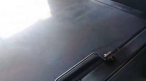 Как делают стабилизированную розу в Эквадоре