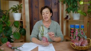 Канадские розы. Морозоустойчивые сорта для Сибири