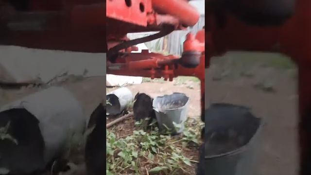 Трактор ХТЗ Т-16 экспресс-обзор от Сергея Баранник