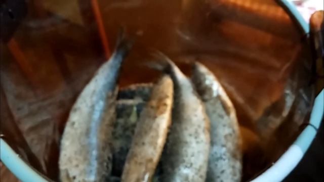 Солим селёдку пряного посола по ГОСТу букет специй № 3