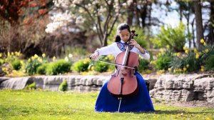 Dove High Over The Storm for 513(Violin & Cello Cover)