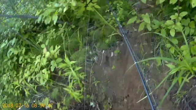 Сплав по Иману. Часть третья. смотреть онлайн