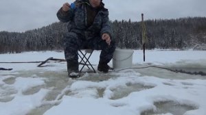 Монолог Коми рыбака при бешенном клёве..mp4