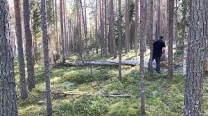 Рыбалка. Путешествие в Мурманск сплав по реке Акким, Печа.