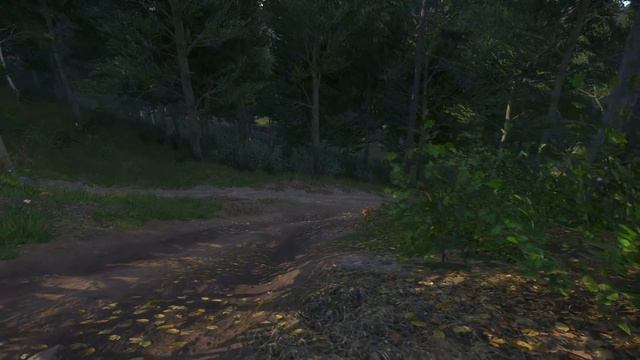 Kingdom Come: Deliverance #11 - Prey For My Sole смотреть онлайн