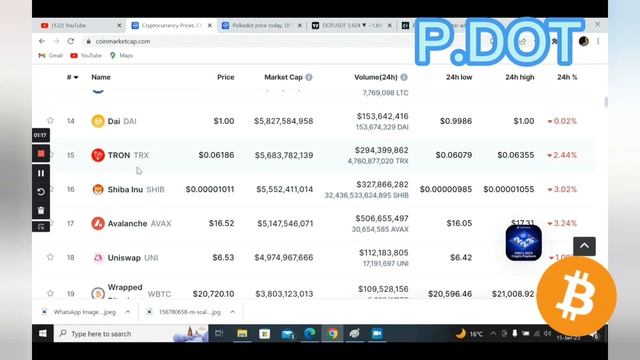 Polka Dot Coin | DOT | SHIBA INU NEWS | CRYPTO | смотреть онлайн