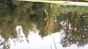 КАК РАБОТАЕТ ЛОВ РЫБЫ НА ПРИЩИП