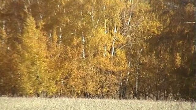 1, В земле наши корни 2008 год. Часть 1. смотреть онлайн