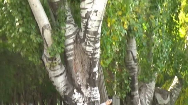 Анапа 2010 год смотреть онлайн