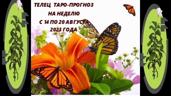 ТЕЛЕЦ ТАРО- ПРОГНОЗ НА НЕДЕЛЮ С 14 ПО 20 АВГУСТА 2023 ГОДА