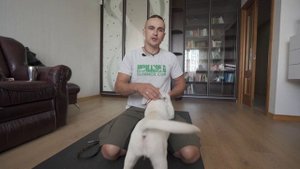 Щенок не хочет идти на поводке? Приучаем щенка к поводку и ошейнику