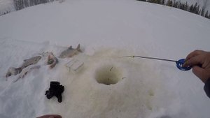 Щука на жерлицы не давала нам продыху, крупная сорога и окунь на мормышку, рыбалка с ночёвкой.