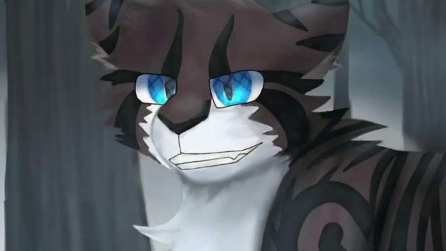 Коты Воители Коршун эдит смотреть онлайн