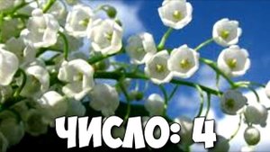 КАКОЙ ТЫ ЦВЕТОК ПО ДАТЕ РОЖДЕНИЯ