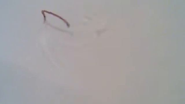 Червь ЖИВОЙ смотреть онлайн