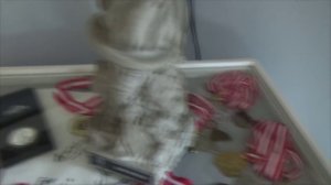 в гостях у АРНОЛЬДА ШВАРЦЕНЕГГЕРА