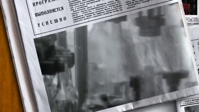 Общее дело. История одного обмана.