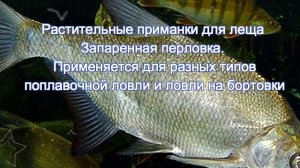 наживки на леща