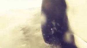 Skoda Octavia 1.4TSI с DSG буксировка и другие мучения