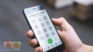 Перевод по номеру телефона в Альфа банке. Особенности