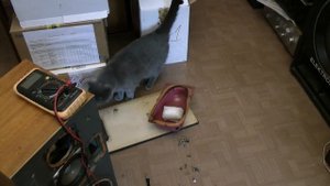 Разборка колонок Вега или замена динамика...Матросска