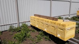 Прогулка по пасеке и ПРОДАЖА ФОРМ ДЛЯ ЛИТЬЯ УЛЬЁВ ИЗ ППУ