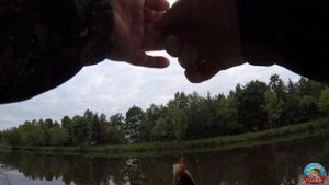 Мормышинг  Dayo LIROPUS ОРИГИНАЛ  1.85