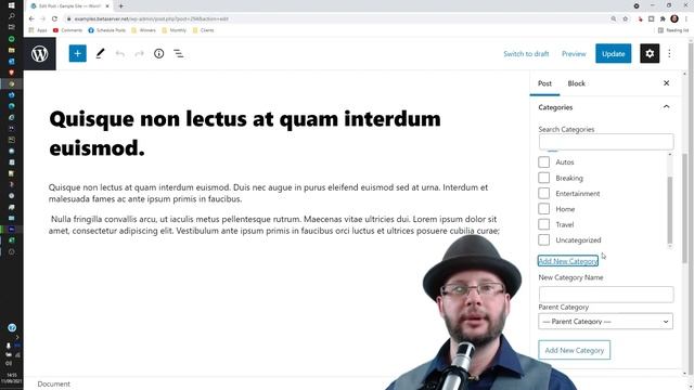 How to Create a New Category WHILE Editing a Post, in WordPress