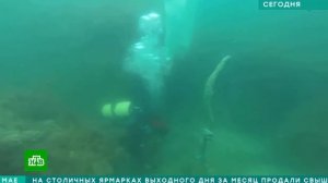 Как работают и тренируются водолазы МЧС