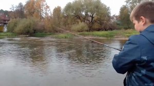 рыбалка на реке Протве