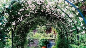 Английские сады. Ландшафтный дизайн. Часть 2.