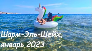 Шарм-Эль-Шейх, январь 2023, Ghazala Beach Hotel