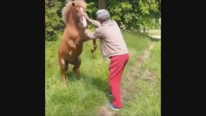 Приколы.Курьёзы и падения №9))