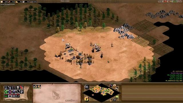 Турнирная игра Age of Empires II
