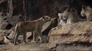 The Lion King (2019) Scar Rules The Pride Rock HD