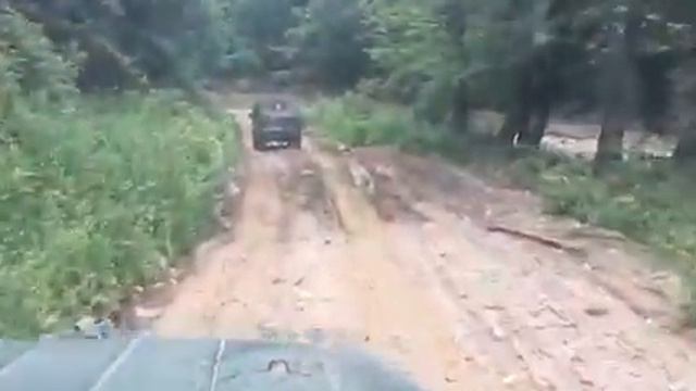 Поезка за грибами в горную Адыгею. Форум ГСП, май 2018. смотреть онлайн