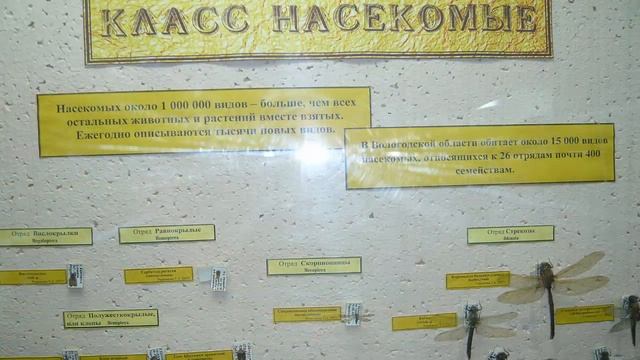 #Музей_Белого_озера. Белозерск Вологодской области