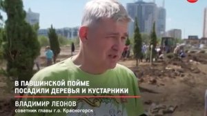 Лес победы в Павшинской Пойме